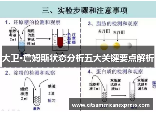 大卫·詹姆斯状态分析五大关键要点解析