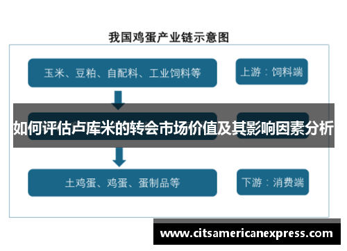 如何评估卢库米的转会市场价值及其影响因素分析